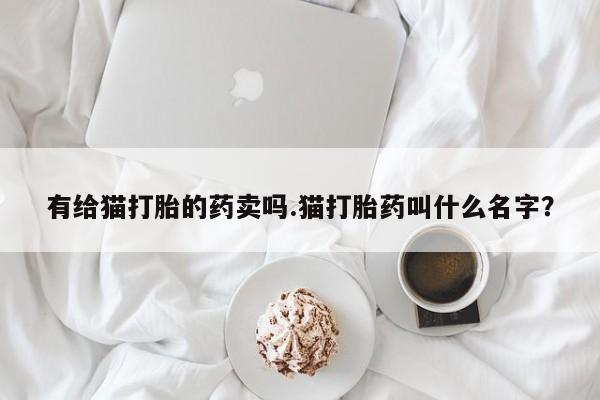 意外怀孕怎么办?打胎药购买微信有给猫打胎的药卖吗.猫打胎药叫什么名字？