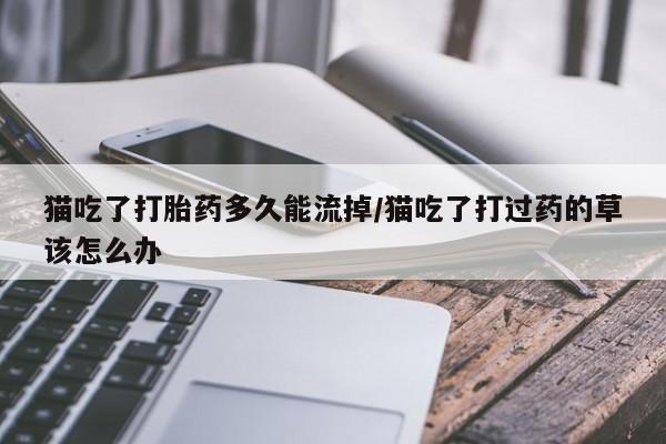 意外怀孕怎么办?打胎药购买微信猫吃了打胎药多久能流掉/猫吃了打过药的草该怎么办